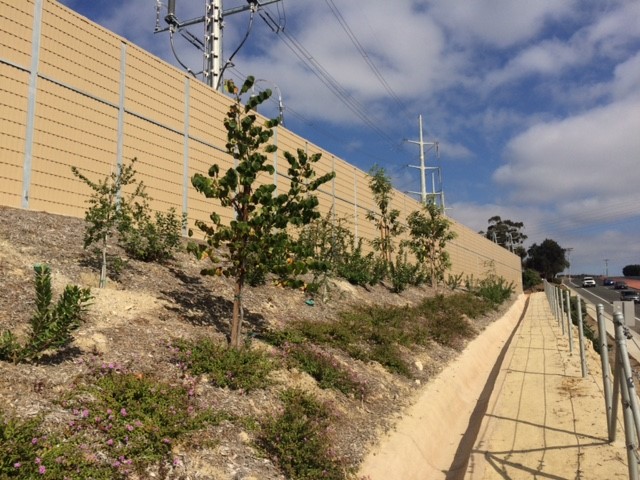 Drought Tolerant Landscaping