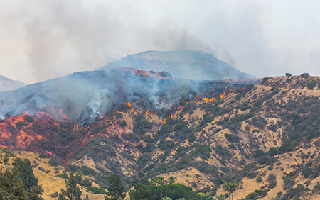 Wildfire burning on mountain