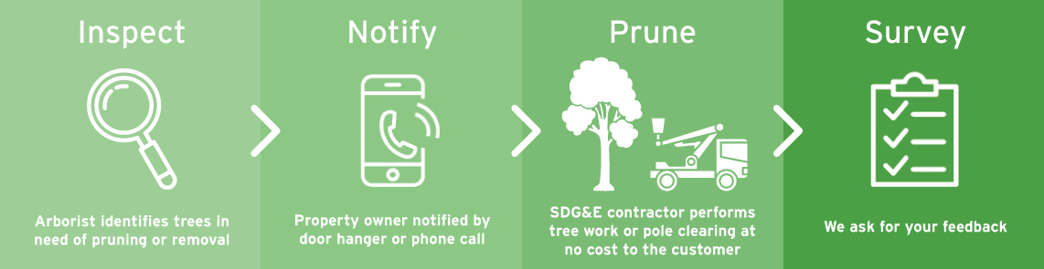 Vegetation Management