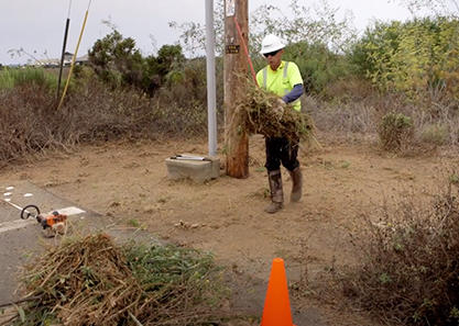 Pole Clearing