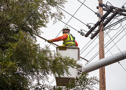 Pole Clearing